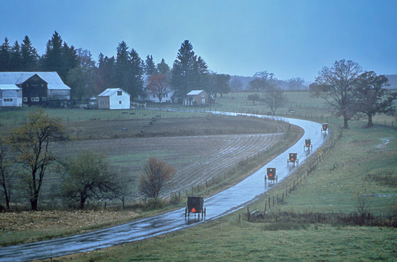 Amish Buggies in Maryland No. 1.jpg